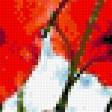 Предпросмотр схемы вышивки «маки» (№673531)