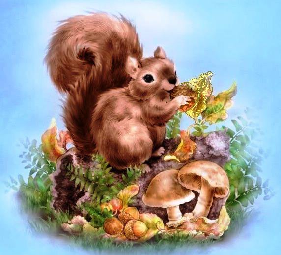 белка - белка, пано, картина, природа, животные - оригинал