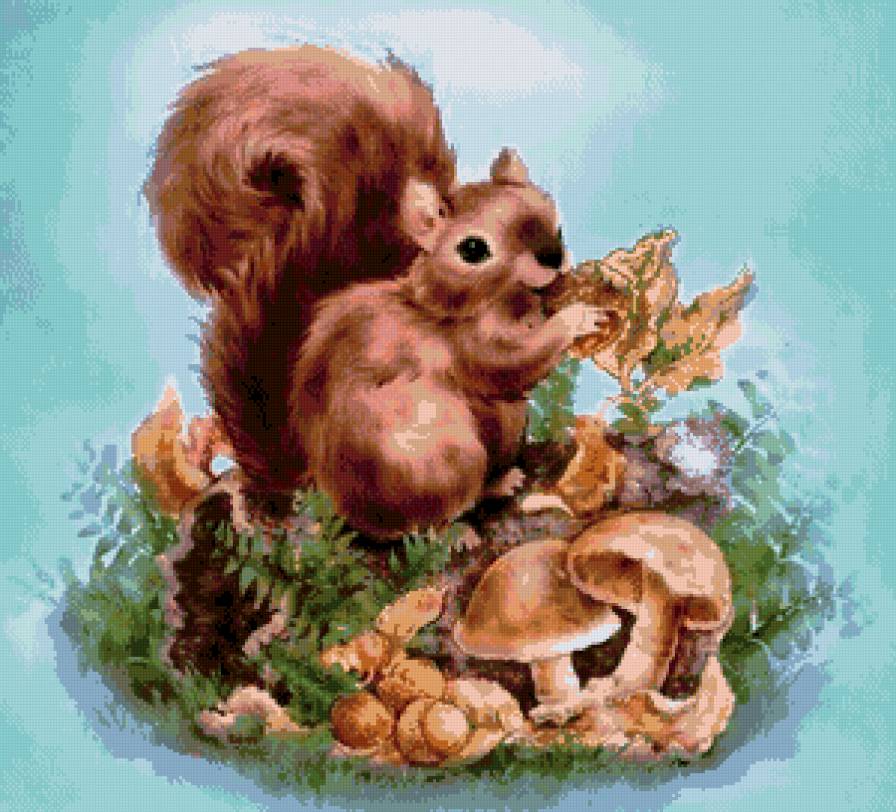 белка - животные, картина, пано, белка, природа - предпросмотр