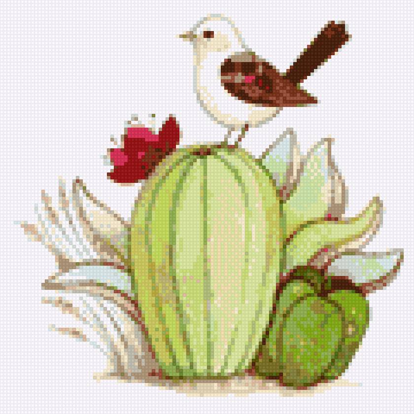 Cactus - cactus - предпросмотр