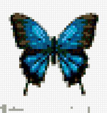 бабочка - предпросмотр