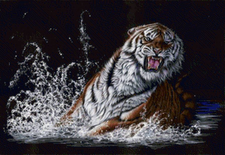 2316 - предпросмотр