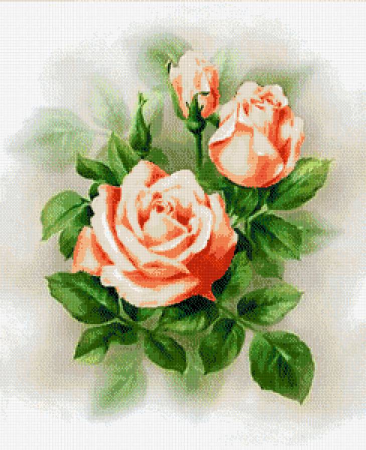 №674120 - предпросмотр