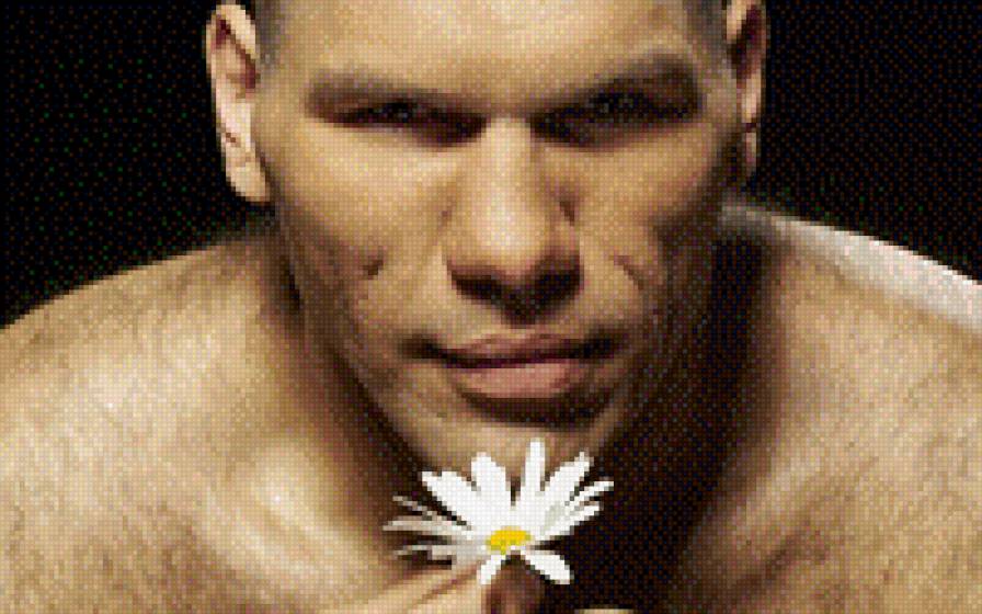 Валуев - бои, мужчина, романтика, ромашка - предпросмотр