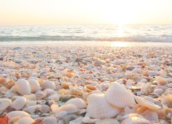 №674350 - рукашки, море, пейзаж - оригинал