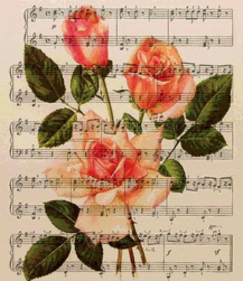музыка и розы - цветы, розы, музыка, ноты - предпросмотр