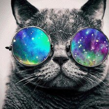 Схема вышивки «кот»