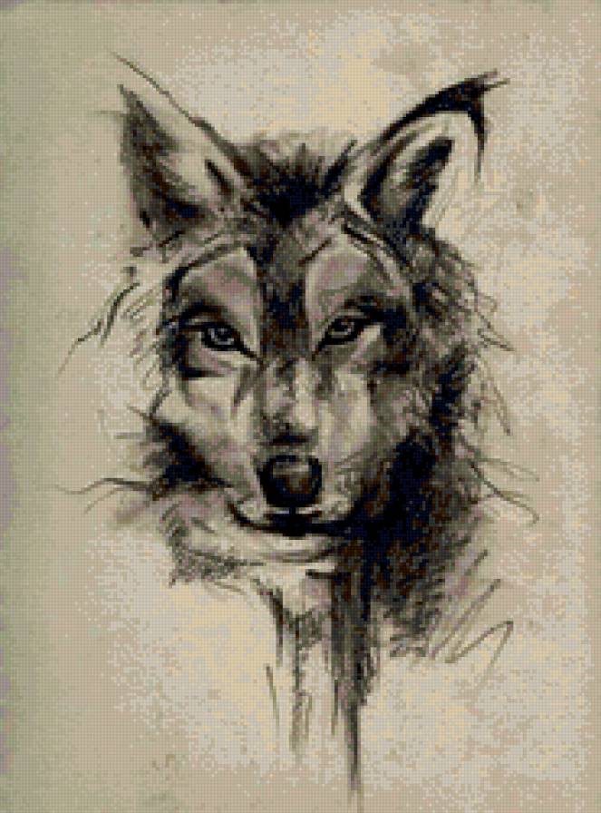 волк - волк, хищник - предпросмотр