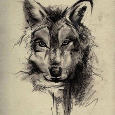 Оригинал схемы вышивки «волк» (№674940)