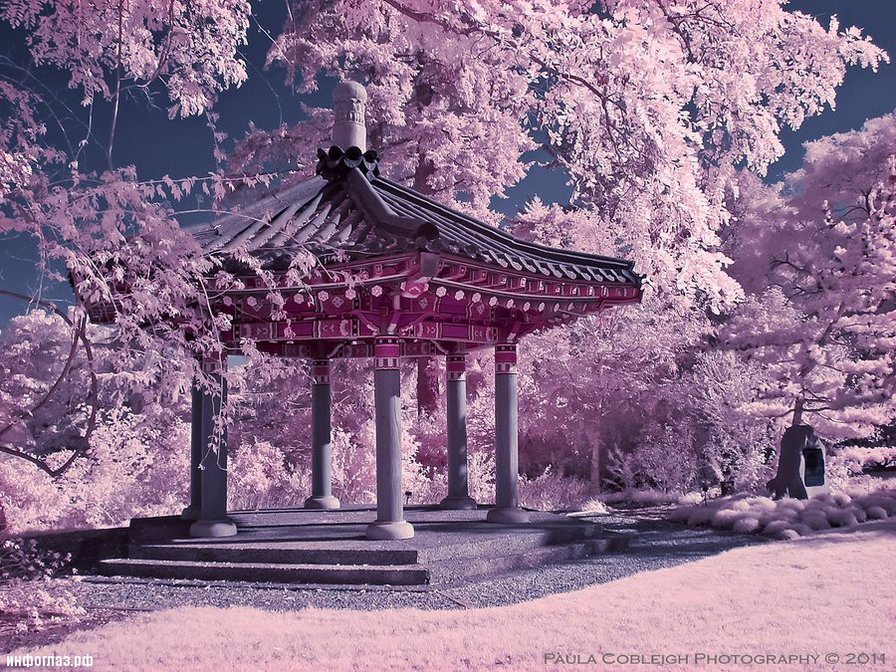 Сад - цветы, сад - оригинал