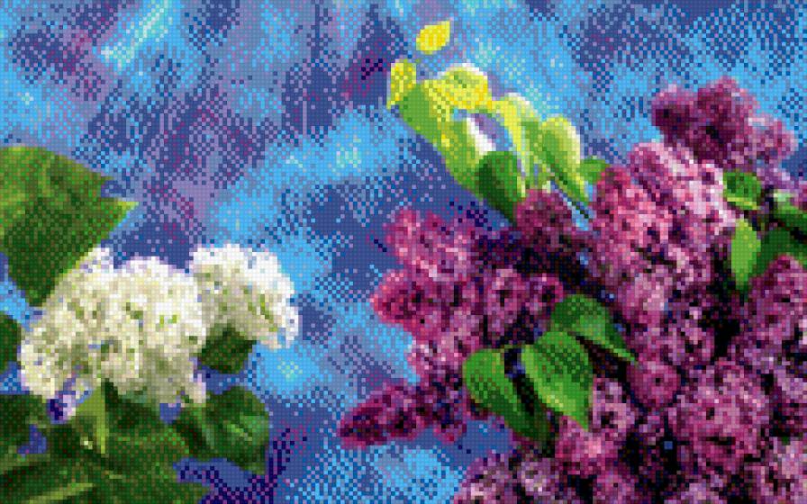 Весна - сирень, цветы, весна - предпросмотр