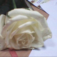 Схема вышивки «роза»