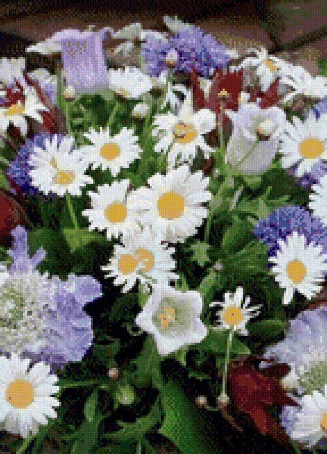 Ромашки - весна, цветы - предпросмотр