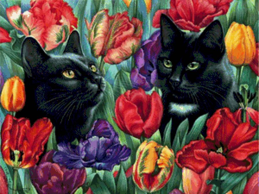 Котики - цветы, кошки, тюльпаны, природа - предпросмотр