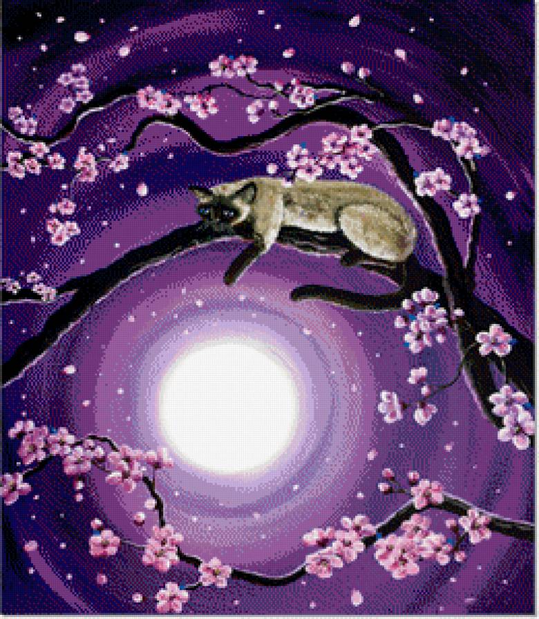 2401 - предпросмотр