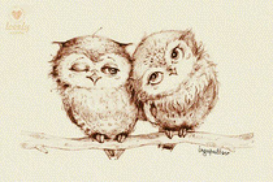 Совы-влюблёныши - сова, любовь, счастье - предпросмотр