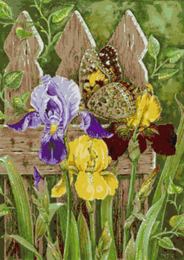 бабочка на ирисах - ирисы, бабочка, весна, цветы - предпросмотр