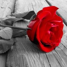 Схема вышивки «роза»