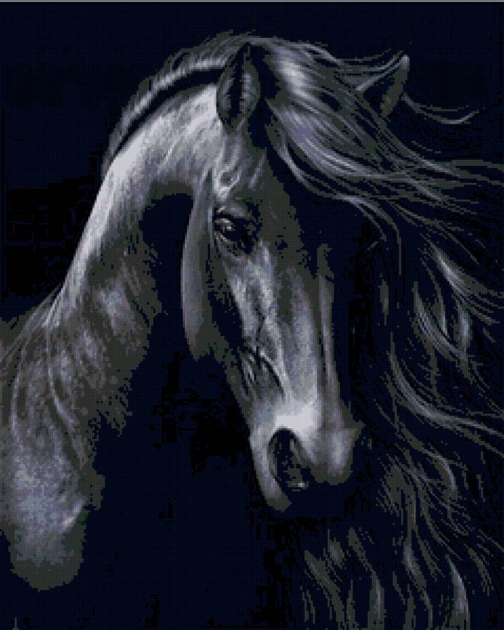 конь - лошадь, животные - предпросмотр