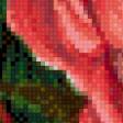 Предпросмотр схемы вышивки «Розы» (№675945)