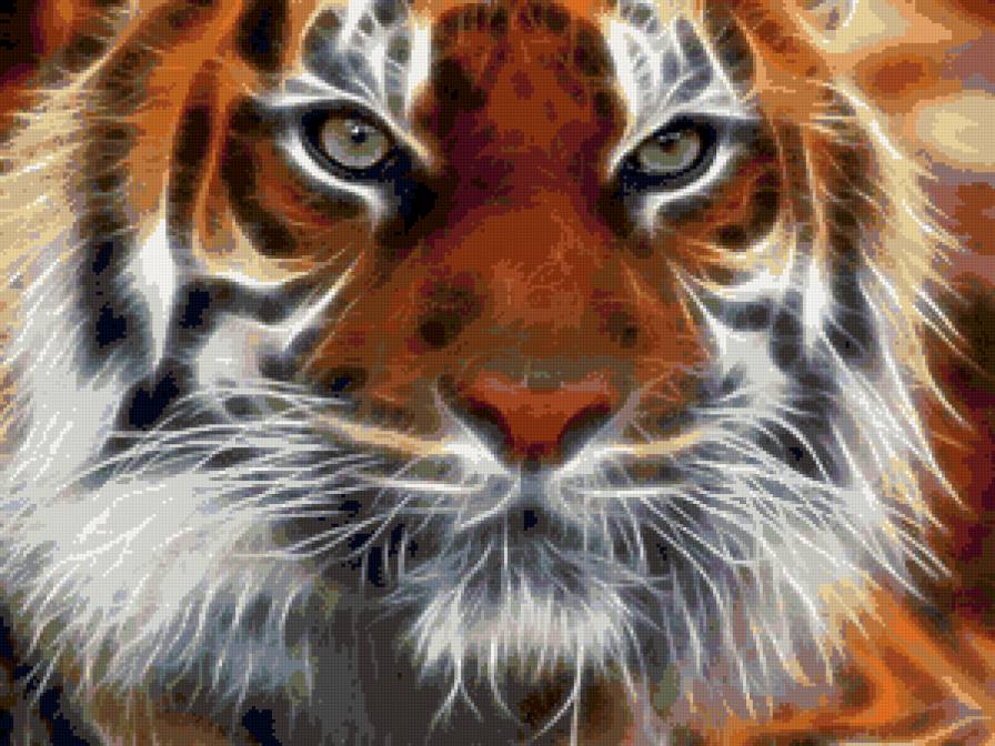 тигр - предпросмотр