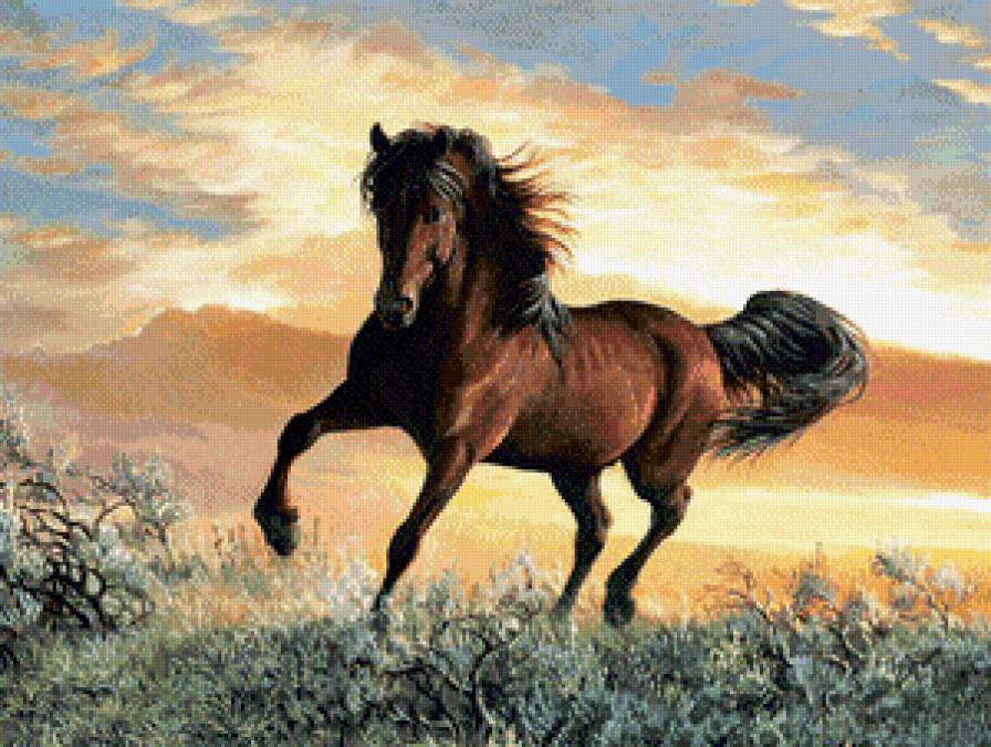 Конь - лошади, животные, бегущий, кони, закат - предпросмотр