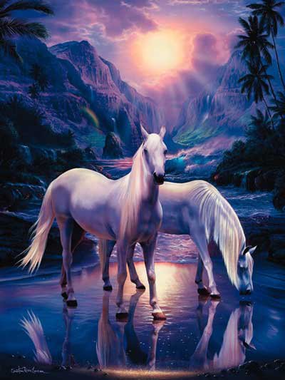 На закате - на закате, красивые, пара, кони, лошади - оригинал