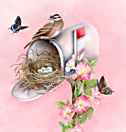 гнездо - бабочки, почта, гнездо - оригинал