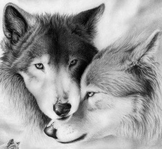 №676252 - оригинал