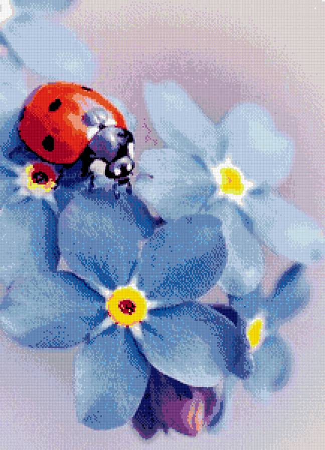 коровка- - предпросмотр