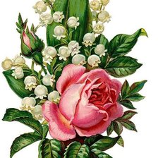 Оригинал схемы вышивки «розы и ландыши» (№676415)