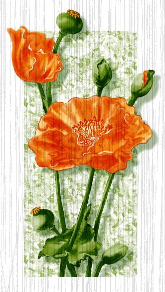 пано маки - пано, цветы - оригинал