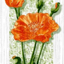 Схема вышивки «пано маки»