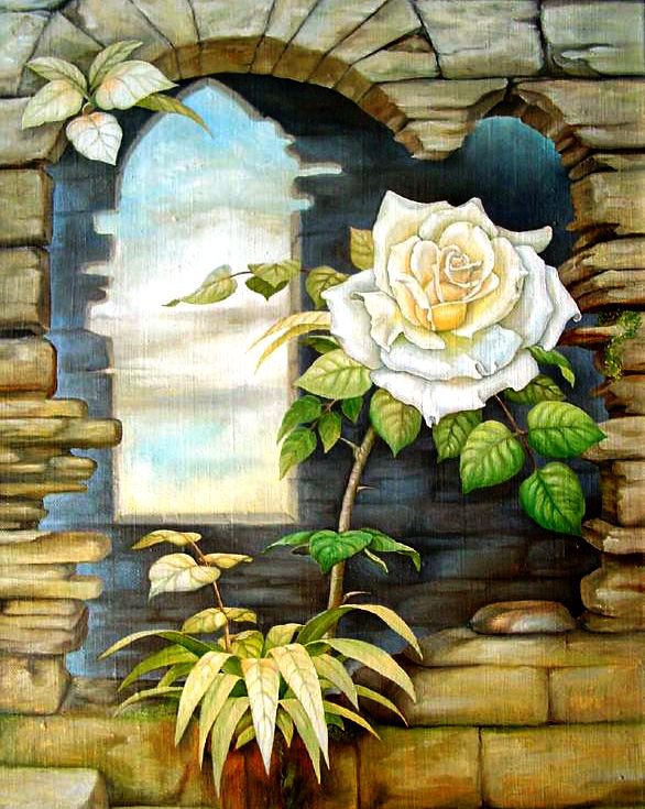 пано с розой - цветы, розы, пано, пейзаж - оригинал