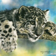 Схема вышивки «леопард»