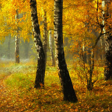 Схема вышивки «№676468»