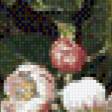 Предпросмотр схемы вышивки «ветка яблони» (№676472)