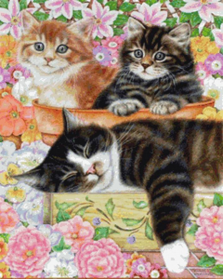 приспали - котики, коты - предпросмотр