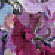 Предпросмотр схемы вышивки «Букет» (№676781)