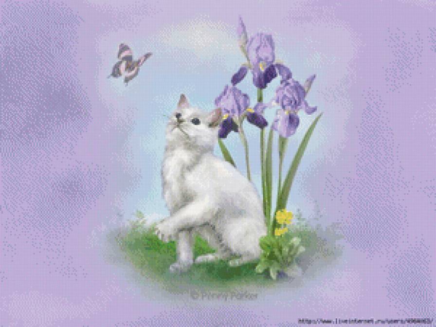 2434 - предпросмотр