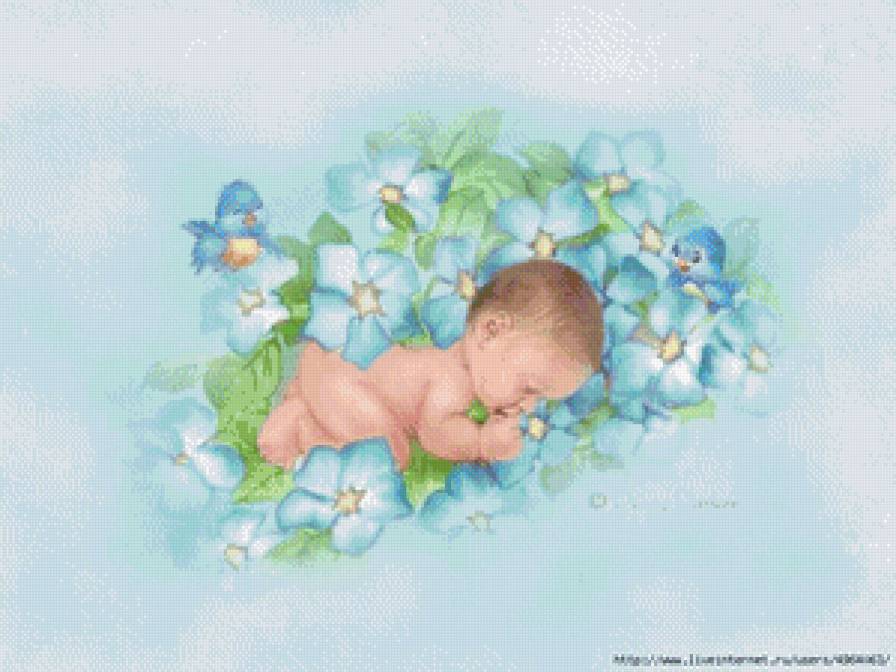 2435 - предпросмотр