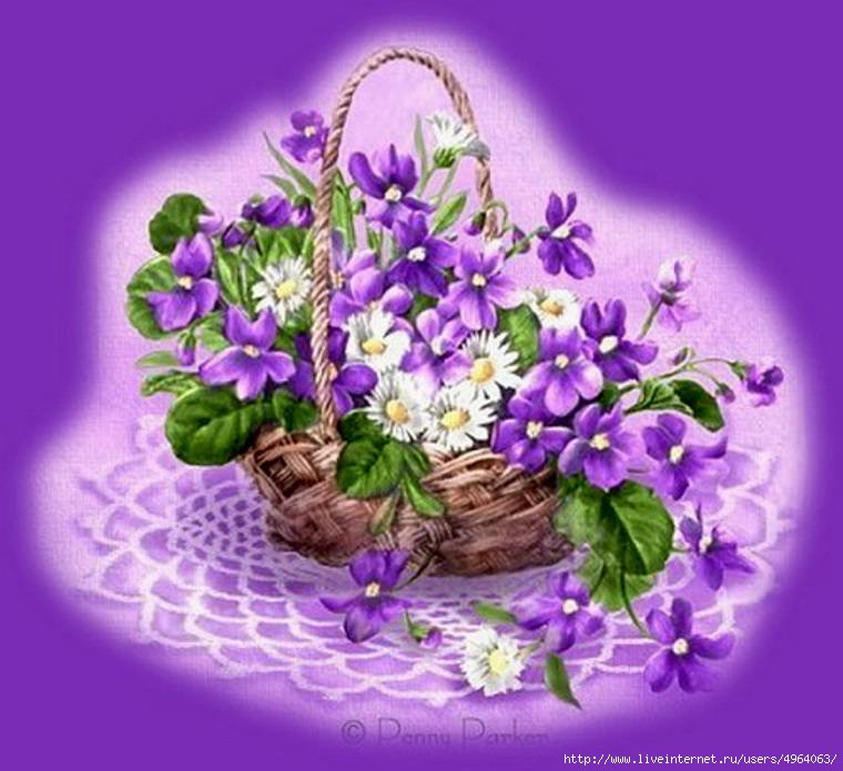 2436 - оригинал