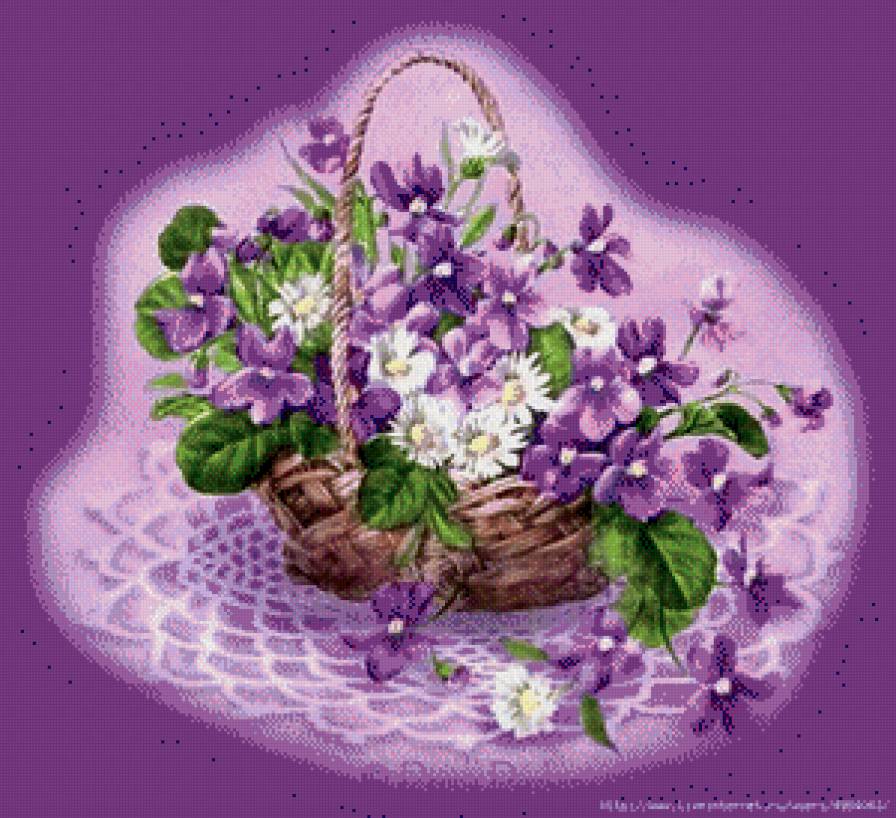 2436 - предпросмотр