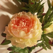 Схема вышивки «№677128»