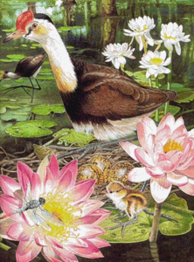 №677167 - предпросмотр