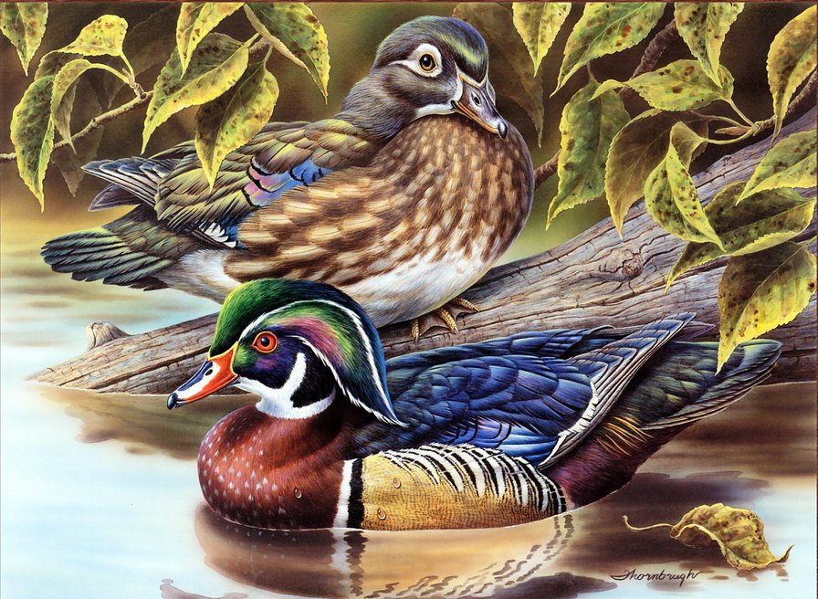 №677486 - оригинал