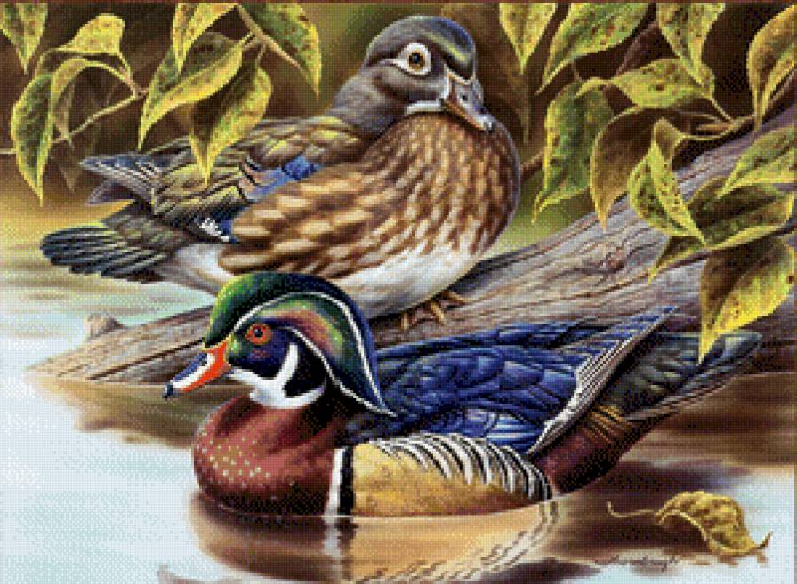 №677486 - предпросмотр