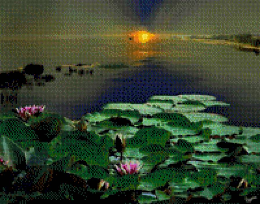 ZAKAT - предпросмотр