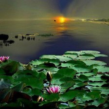 Схема вышивки «ZAKAT»