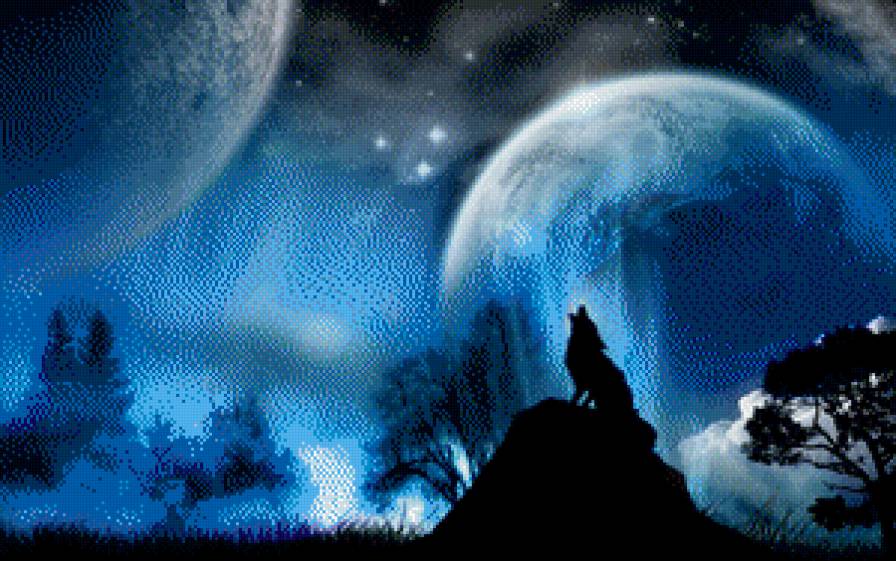 волк - природа, ночь, волк - предпросмотр